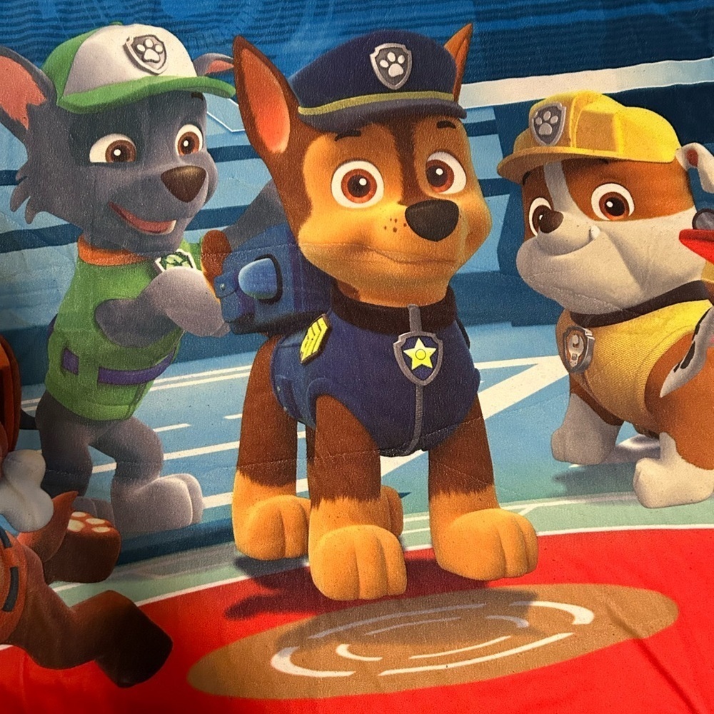 Paw Patrol Rug - Picture 2 of 11
